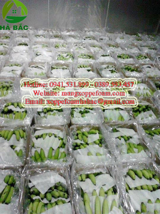 Tấm xốp lót chuối