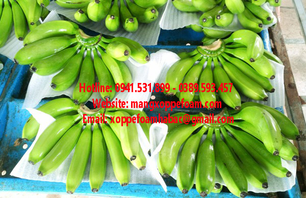 Màng xốp pe foam lót chuối