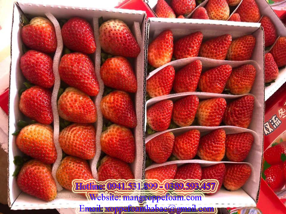 Màng xốp pe foam lót trái cây