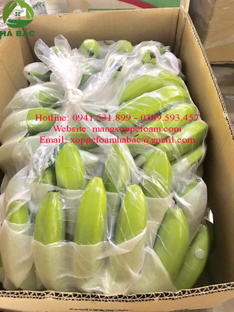 Mút xốp pe foam lót chuối 