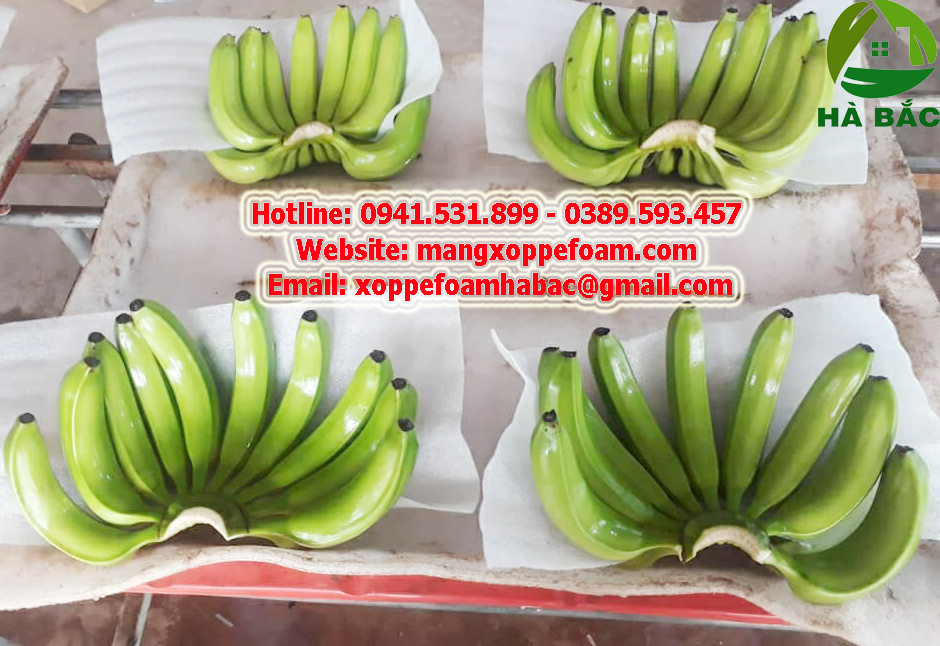 Xốp Pe Foam Lót Chuối