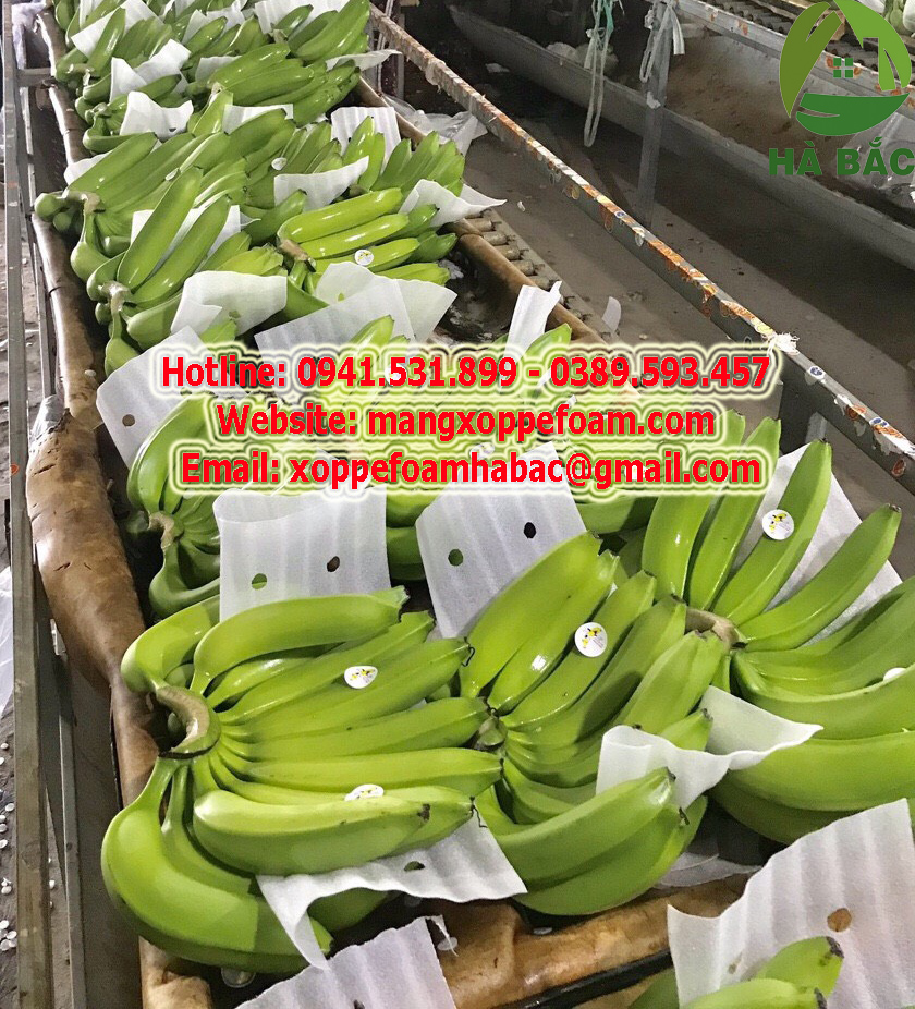 Xốp pe foam lót chuối