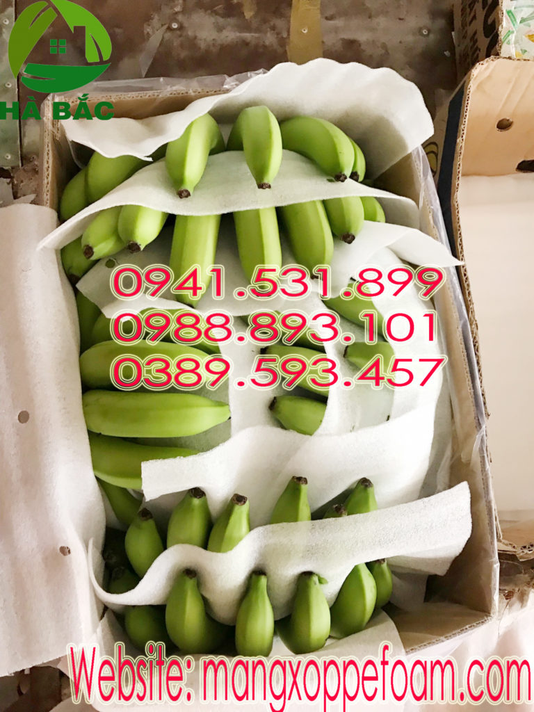 Tấm Màng Xốp lót chuối