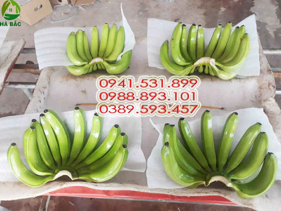 Xốp Pe Foam lót chuối